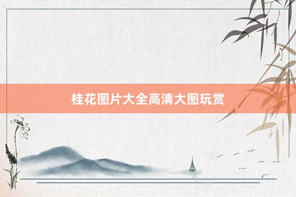 桂花图片大全高清大图玩赏