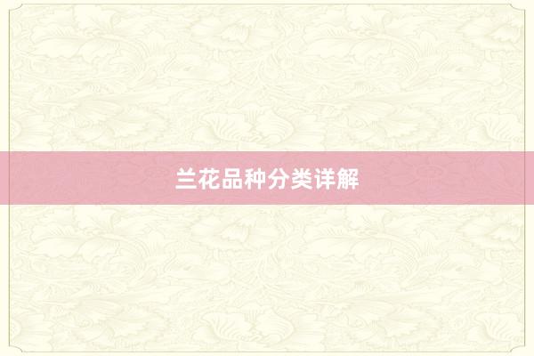 兰花品种分类详解