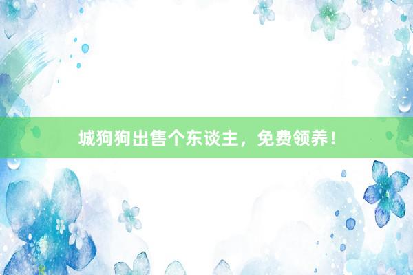 城狗狗出售个东谈主，免费领养！