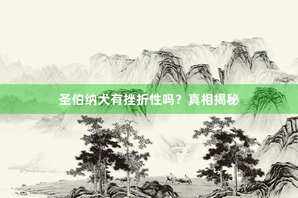 圣伯纳犬有挫折性吗？真相揭秘